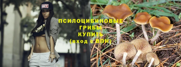 2c-b Костерёво