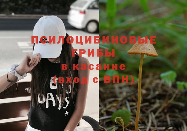 2c-b Костерёво
