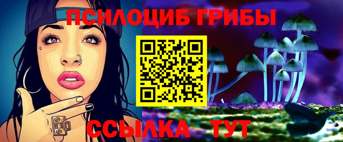 Псилоцибиновые грибы MAGIC MUSHROOMS  Псилоцибиновые грибы GOLDEN TEACHER  Горно-Алтайск 